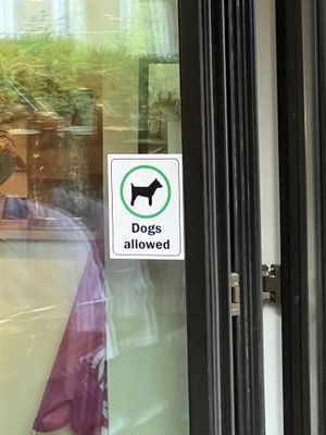 🩷🐶  at TWO SIX NINE in Frankfurt