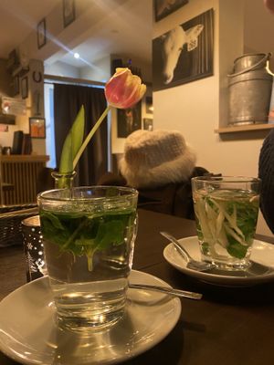   at TWO SIX NINE in Frankfurt