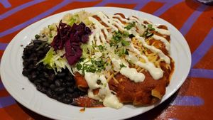 Enchillada at Alebrijes in Frankfurt