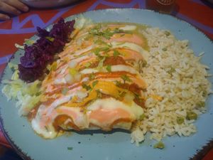 Burrito at Alebrijes in Frankfurt