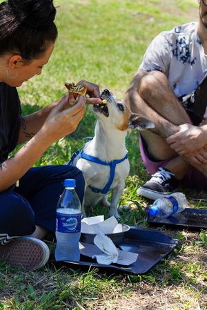 Hoy dog pancho vegano   at El Puestito del Tío in Buenos Aires