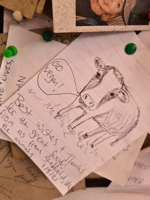 Go vegan! at Vege Fast Food in Split