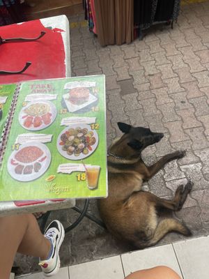 💚 at Vege Fast Food in Split