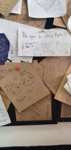  at Vege Fast Food in Split