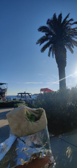 Falafel wrap by the seafront at Vege Fast Food in Split