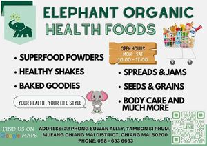 Flyer at Elephant Organic  in Chiang Mai