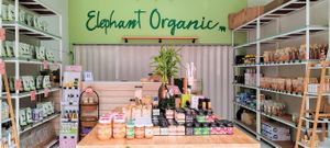 Inside at Elephant Organic  in Chiang Mai