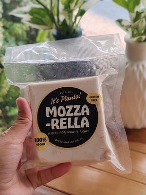  at Elephant Organic  in Chiang Mai