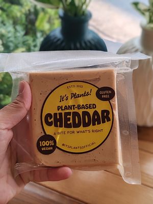  at Elephant Organic  in Chiang Mai