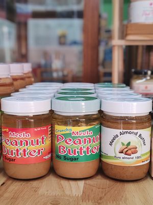  at Elephant Organic  in Chiang Mai