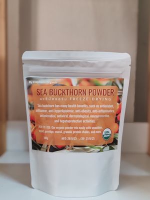  at Elephant Organic  in Chiang Mai