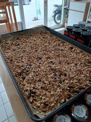  at Elephant Organic  in Chiang Mai