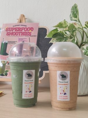  at Elephant Organic  in Chiang Mai