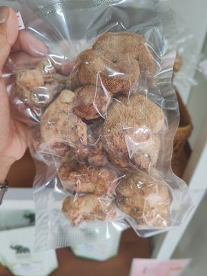  at Elephant Organic  in Chiang Mai