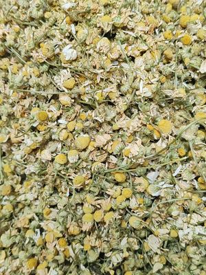  at Elephant Organic  in Chiang Mai