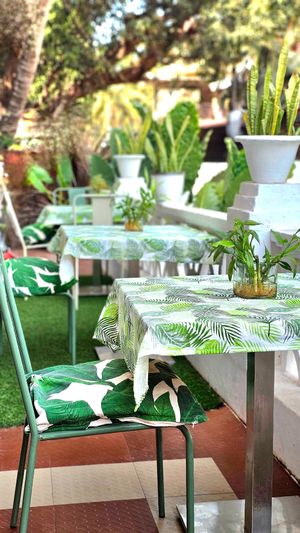  at Karma Kitchen in Siolim