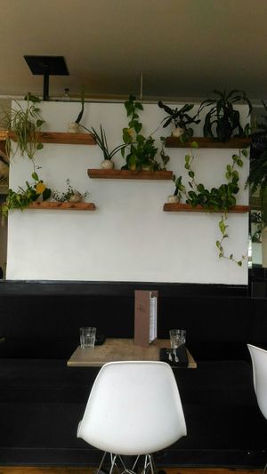 Plants at enVie A Vegan Kitchen in Halifax