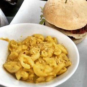 Mac and cheeze at enVie A Vegan Kitchen in Halifax