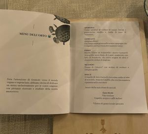 fully vegan menu 🌱 single dishes also a la carte   at Gramole in Ragusa