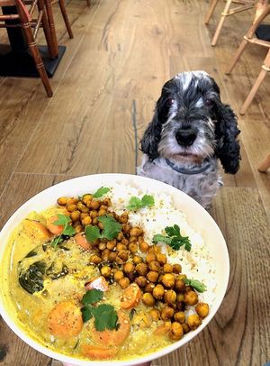 Curry de légumes au lait de coco et à la coriandre fraîche 🌿 
🥕 carottes / panais / choux fleurs / 🥔 pommes de terre / épinards / pois chiches grillés aux épices  at Horaé in Aix-en-provence