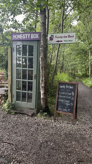   at Turnip The Beet in Stirling