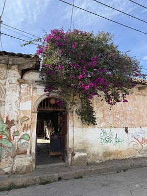  #Veganuary at Sultan-i Yegah in San Cristobal De Las Casas