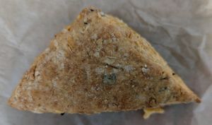 green onion and cheese scone at Poppy Shop in Portland