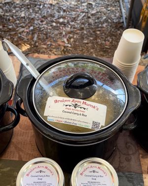 Vegan Coconut Curry & Rice  at Broken Arm Moma's in Pensacola