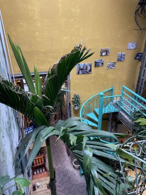   at Hanoi Coffee Culture  in Hanoi