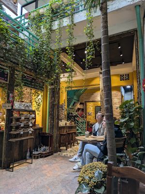  at Hanoi Coffee Culture  in Hanoi