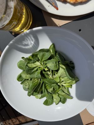 Green salad  at Bernabò in Bergamo