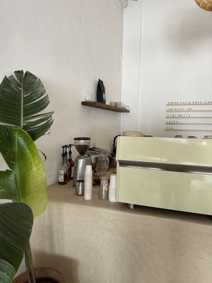 Bar  at Daydream in Tamraght