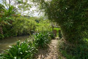  at Tree Vegan Kitchen in Sapa