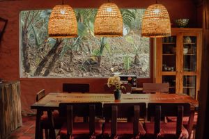  at Tree Vegan Kitchen in Sapa