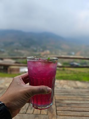  at Tree Vegan Kitchen in Sapa