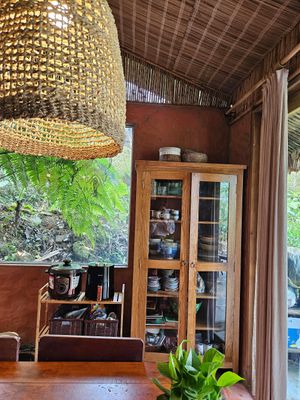  at Tree Vegan Kitchen in Sapa