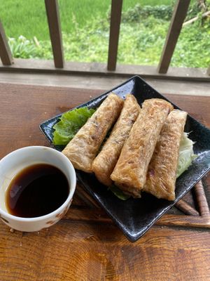 Fried spring rolls  at Tree Vegan Kitchen in Sapa