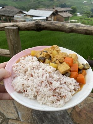 Vegan curry   at Tree Vegan Kitchen in Sapa