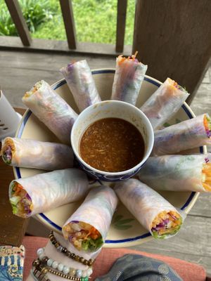 Fresh spring rolls  at Tree Vegan Kitchen in Sapa