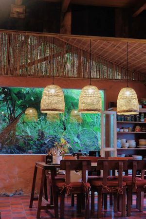  at Tree Vegan Kitchen in Sapa