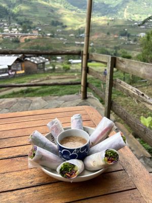 fresh summer rolls with peanut sauce   at Tree Vegan Kitchen in Sapa