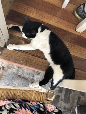 Our friend while eating at Glossitses in Crete