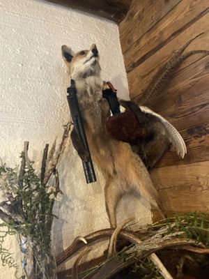   at Gehwolfalm in Unterberg