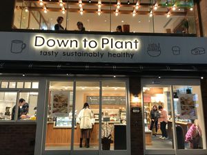  at Down to Plant - Roppongi Hills   in Tokyo