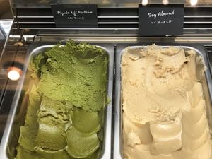  at Down to Plant - Roppongi Hills   in Tokyo