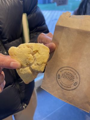   at Down to Plant - Roppongi Hills   in Tokyo