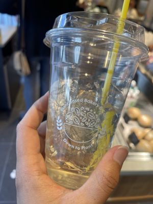   at Down to Plant - Roppongi Hills   in Tokyo