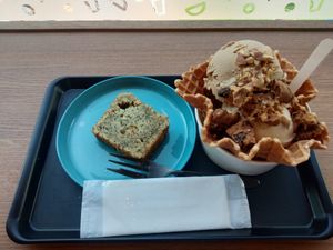  at Down to Plant - Roppongi Hills   in Tokyo