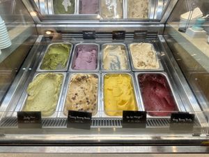 Vegan ice cream   at Down to Plant - Roppongi Hills   in Tokyo