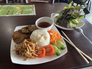 Very delicious Broke Rice. Vegan selectionn  at Thanh Luong Vegetarian in Minnetonka